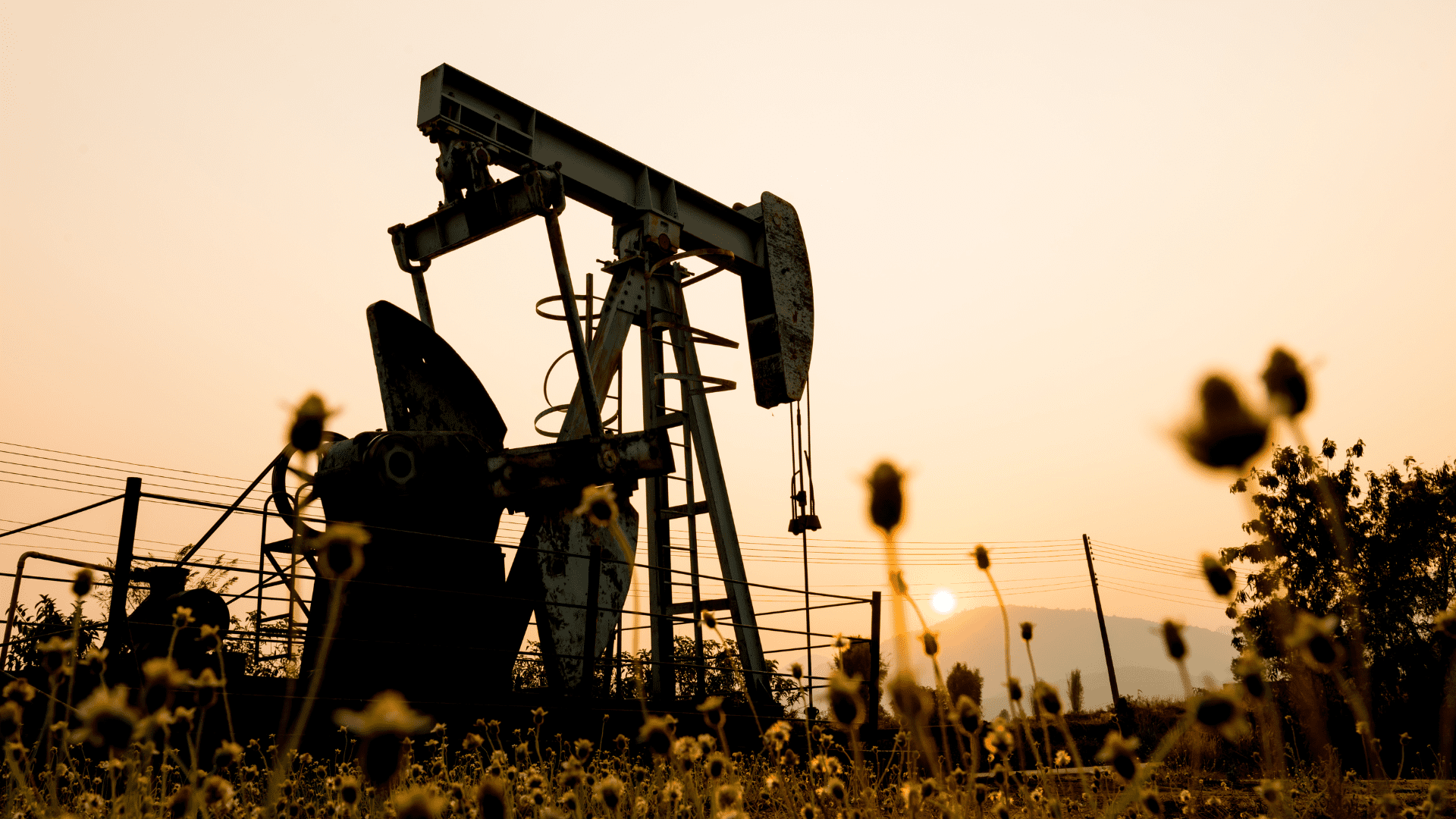 Young startups business meeting to discuss the situation on the marketing in the meeting room. Business teamwork meeting concept.